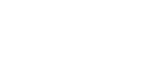 Logo Slow Medicine Institute