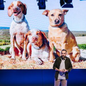 Swingyourpics 4735-X4